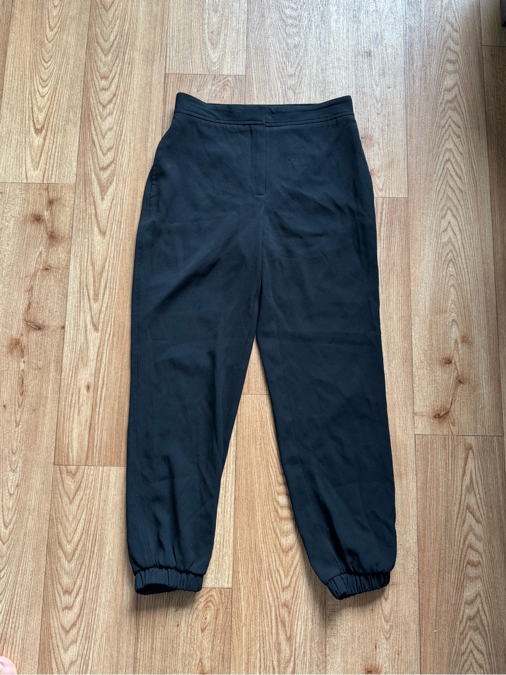 Aritzia Babaton Dress pant joggers